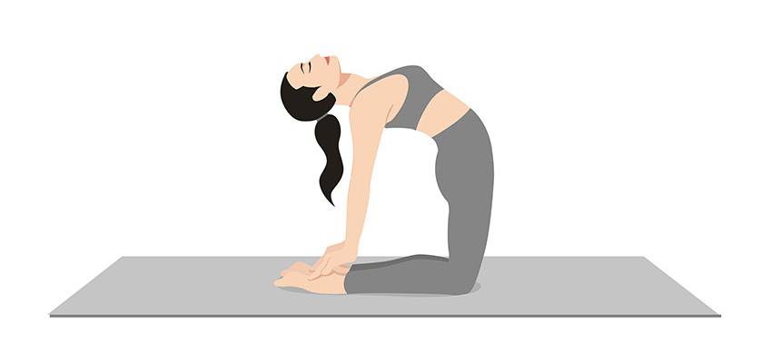 Partner Camel Pose