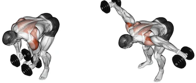 Delt Up