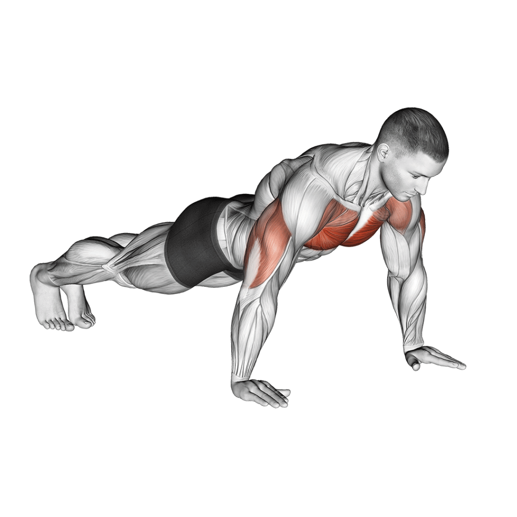Hold a Push-Up