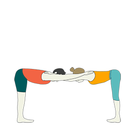 Partners Forward Fold