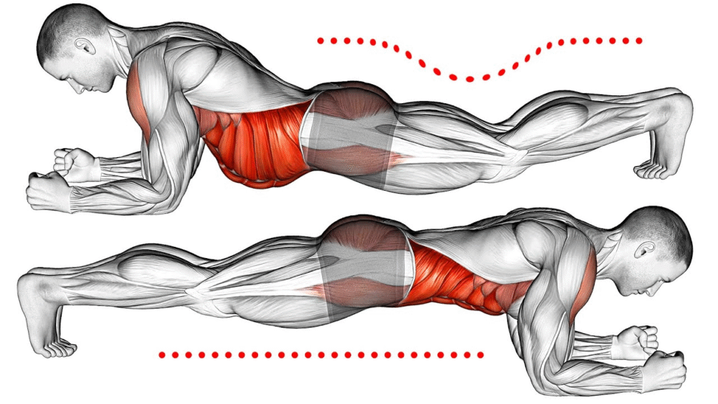 Plank (Targets: Core, Shoulders, Back)