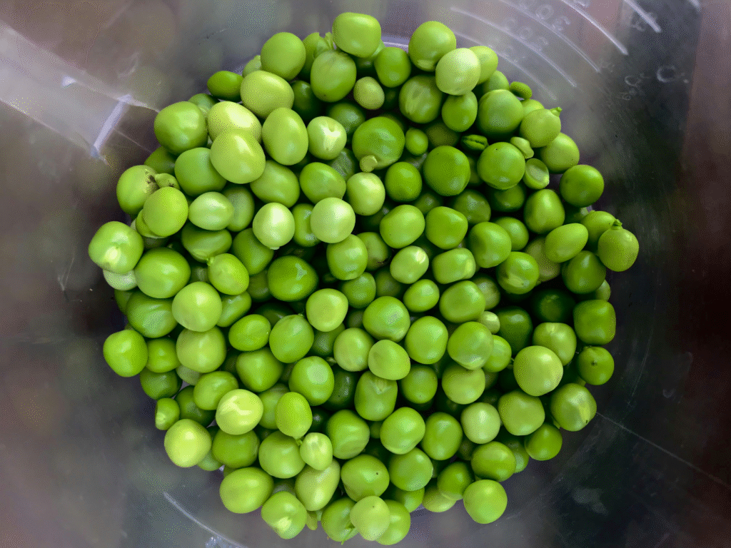 7. Green Peas 