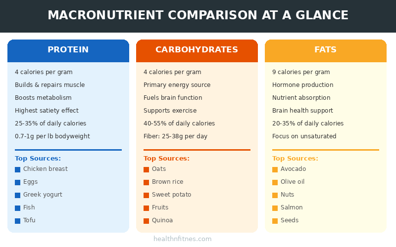 Macronutrient comparison chart showing protein carbohydrates and fats with calories per gram daily percentage and top food sources

